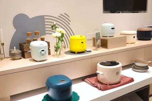 二季度業(yè)績放緩，小熊電器需要護(hù)城河